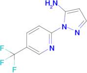 1-[5-(trifluoromethyl)pyridin-2-yl]-1h-pyrazol-5-amine