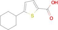 5-Cyclohexylthiophene-2-carboxylic acid