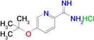 5-(tert-Butoxy)pyridine-2-carboximidamide hydrochloride