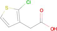 2-(2-Chlorothiophen-3-yl)acetic acid