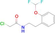 2-Chloro-n-{2-[2-(difluoromethoxy)phenyl]ethyl}acetamide