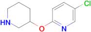 5-Chloro-2-(piperidin-3-yloxy)pyridine