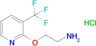 2-{[3-(trifluoromethyl)pyridin-2-yl]oxy}ethan-1-amine hydrochloride