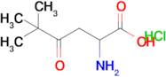 2-Amino-5,5-dimethyl-4-oxohexanoic acid hydrochloride