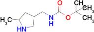 tert-Butyl n-[(5-methylpyrrolidin-3-yl)methyl]carbamate