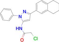 2-Chloro-n-[1-phenyl-3-(5,6,7,8-tetrahydronaphthalen-2-yl)-1h-pyrazol-5-yl]acetamide