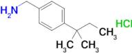 [4-(2-methylbutan-2-yl)phenyl]methanamine hydrochloride