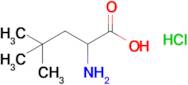 2-Amino-4,4-dimethylpentanoic acid hydrochloride