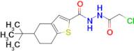 5-tert-Butyl-n'-(2-chloroacetyl)-4,5,6,7-tetrahydro-1-benzothiophene-2-carbohydrazide