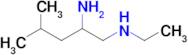 (2-Amino-4-methylpentyl)(ethyl)amine