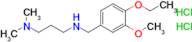 [3-(dimethylamino)propyl][(4-ethoxy-3-methoxyphenyl)methyl]amine dihydrochloride