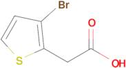 2-(3-Bromothiophen-2-yl)acetic acid