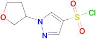 1-(Oxolan-3-yl)-1h-pyrazole-4-sulfonyl chloride