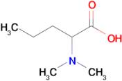 2-(Dimethylamino)pentanoic acid