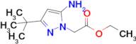 Ethyl 2-(5-amino-3-tert-Butyl-1h-pyrazol-1-yl)acetate