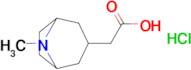 2-{8-methyl-8-azabicyclo[3.2.1]octan-3-yl}acetic acid hydrochloride