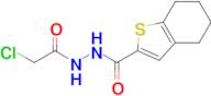 n'-(2-Chloroacetyl)-4,5,6,7-tetrahydro-1-benzothiophene-2-carbohydrazide