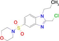 2-(Chloromethyl)-5-(morpholine-4-sulfonyl)-1-propyl-1h-1,3-benzodiazole