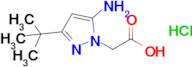 2-(5-Amino-3-tert-Butyl-1h-pyrazol-1-yl)acetic acid hydrochloride