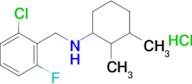 n-[(2-chloro-6-fluorophenyl)methyl]-2,3-dimethylcyclohexan-1-amine hydrochloride