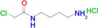 n-(4-Aminobutyl)-2-chloroacetamide hydrochloride