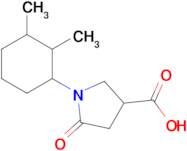 1-(2,3-Dimethylcyclohexyl)-5-oxopyrrolidine-3-carboxylic acid