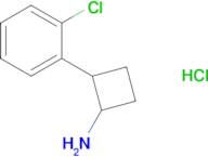 2-(2-Chlorophenyl)cyclobutan-1-amine hydrochloride