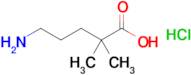 5-Amino-2,2-dimethylpentanoic acid hydrochloride