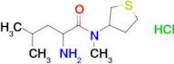 2-Amino-n,4-dimethyl-n-(thiolan-3-yl)pentanamide hydrochloride