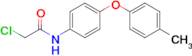 2-Chloro-n-[4-(4-methylphenoxy)phenyl]acetamide