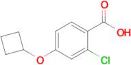 2-Chloro-4-cyclobutoxybenzoic acid