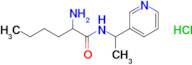 2-Amino-n-[1-(pyridin-3-yl)ethyl]hexanamide hydrochloride