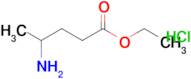 Ethyl 4-aminopentanoate hydrochloride