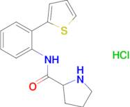 n-[2-(thiophen-2-yl)phenyl]pyrrolidine-2-carboxamide hydrochloride