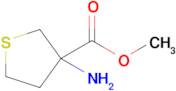 Methyl 3-aminothiolane-3-carboxylate