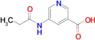 5-propionamidonicotinic acid