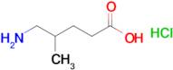 5-Amino-4-methylpentanoic acid hydrochloride