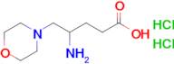 4-Amino-5-(morpholin-4-yl)pentanoic acid dihydrochloride