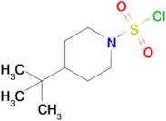 4-tert-Butylpiperidine-1-sulfonyl chloride