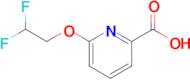 6-(2,2-Difluoroethoxy)pyridine-2-carboxylic acid