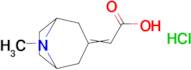 2-{8-methyl-8-azabicyclo[3.2.1]octan-3-ylidene}acetic acid hydrochloride