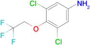 3,5-Dichloro-4-(2,2,2-trifluoroethoxy)aniline