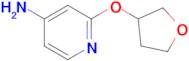 2-(Oxolan-3-yloxy)pyridin-4-amine