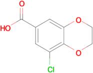 8-Chloro-2,3-dihydro-1,4-benzodioxine-6-carboxylic acid