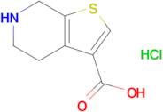 4h,5h,6h,7h-Thieno[2,3-c]pyridine-3-carboxylic acid hydrochloride