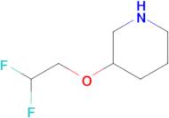 3-(2,2-Difluoroethoxy)piperidine