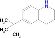 6-tert-Butyl-1,2,3,4-tetrahydroquinoline