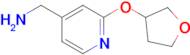 [2-(oxolan-3-yloxy)pyridin-4-yl]methanamine