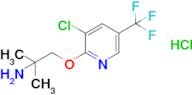 1-{[3-chloro-5-(trifluoromethyl)pyridin-2-yl]oxy}-2-methylpropan-2-amine hydrochloride