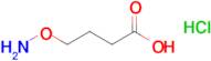 4-(Aminooxy)butanoic acid hydrochloride